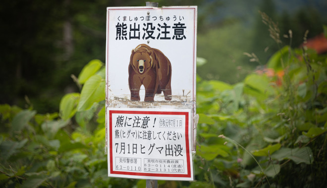 Japans Bären sorgen für immer mehr Vorfälle