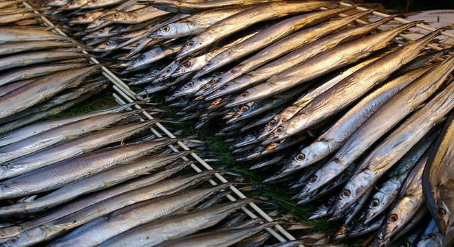 Japans erstes Fischereistadt hat 0 Tonnen an Makrelen gefangen.