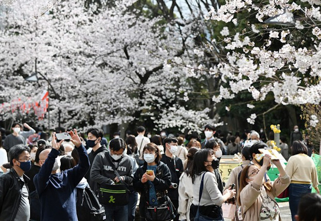 Japan beendet Corona-Einreiseregeln, Kampf gegen Heuschnupfen, Knoblauch und Fukushima trifft auf NRW.