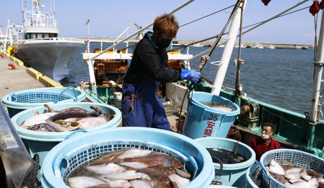 Fukushimas Fisch bleibt ungefährlich, Eis als Mitternachtssnack, digitales Visaverfahren und KI als Hilfspolizei